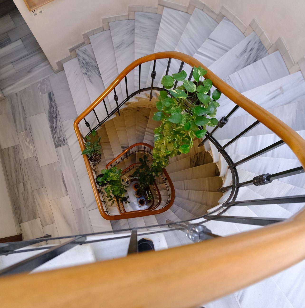 A top view of a spiral staircase adorned with lush indoor plants.