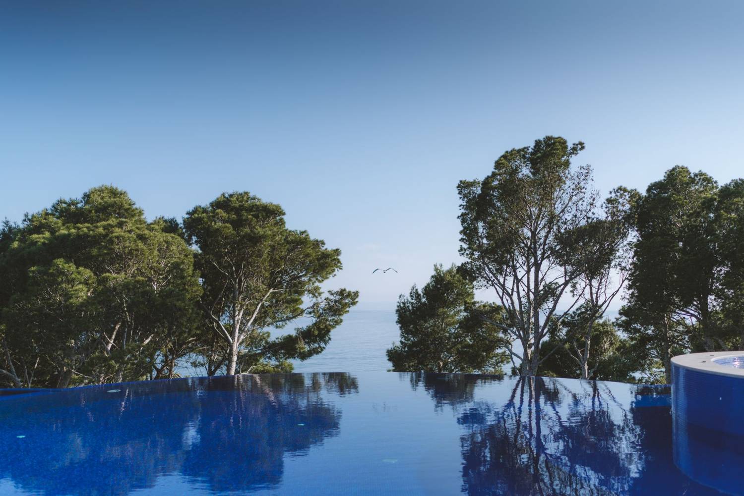 Infinity pool reflecting calm blue skies and lush trees, featuring a serene ocean view.