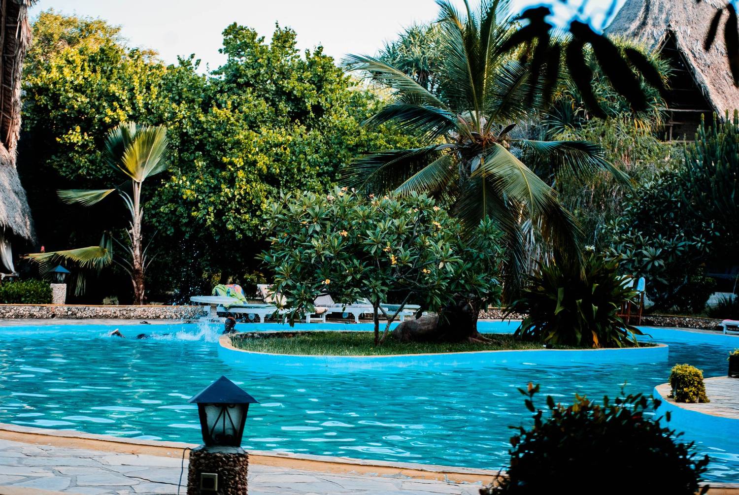 A tranquil poolside scene at a tropical resort featuring lush palm trees and inviting water. Perfect vacation destination.
