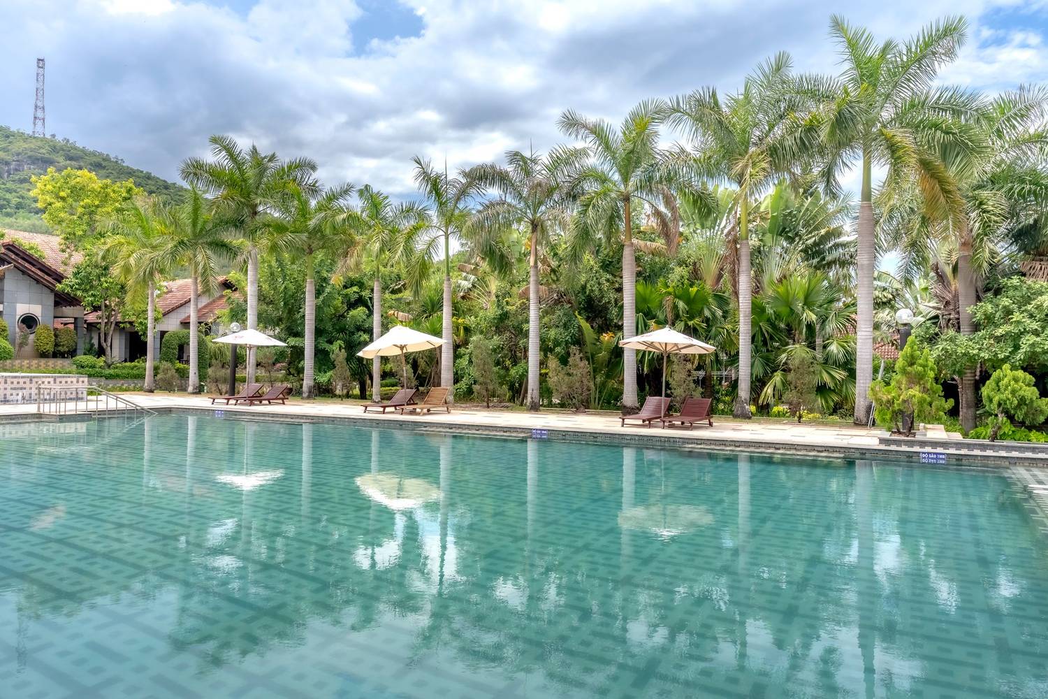 Serene poolside view with palm trees and lounge chairs under cloudy skies.