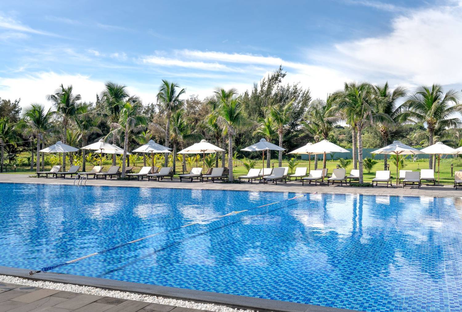 Relaxing poolside scene with umbrellas, palm trees, and loungers under a clear blue sky.