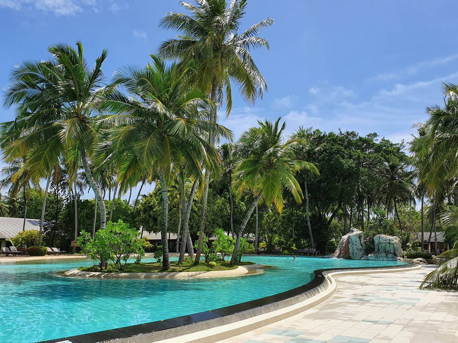A tranquil tropical resort pool surrounded by lush palm trees on a sunny day.