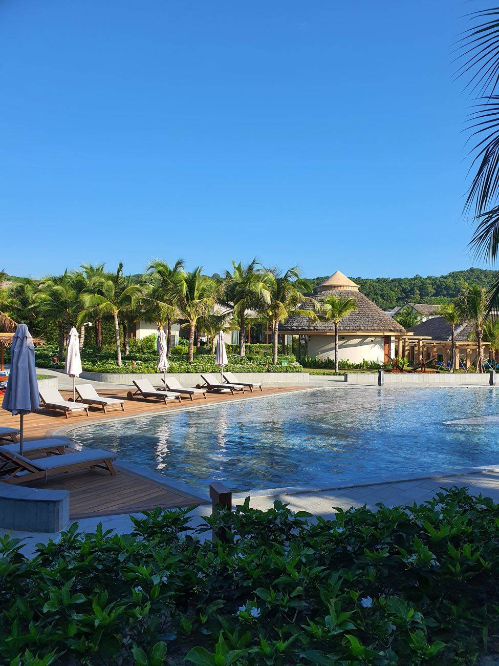 Relaxing tropical poolside view with palm trees and deck chairs at a luxury resort.