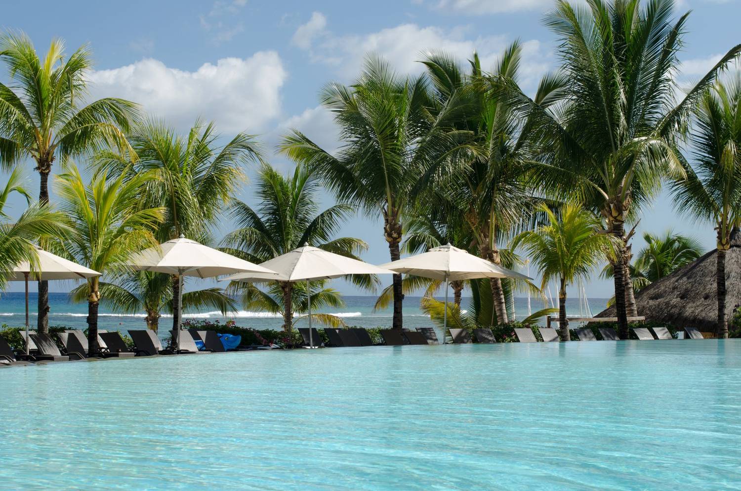 A serene tropical resort pool surrounded by palm trees and umbrellas under a blue sky.