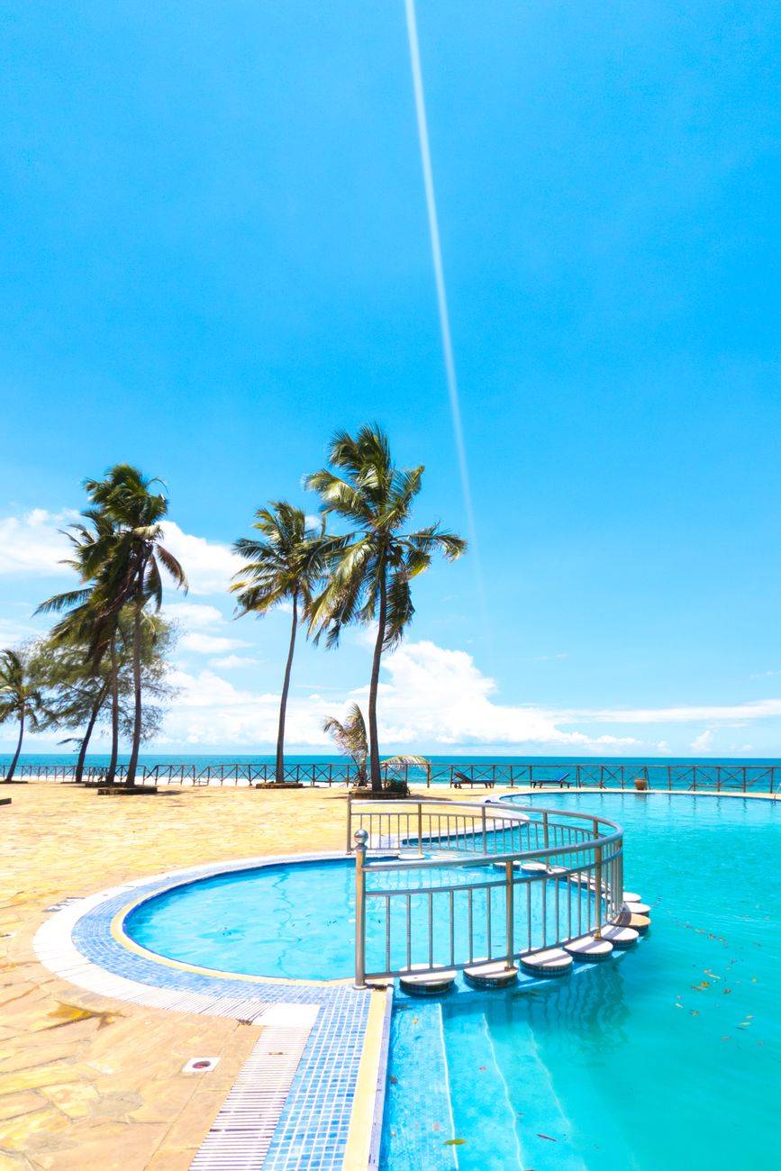 A serene tropical poolside scene with palm trees and a clear blue sky.