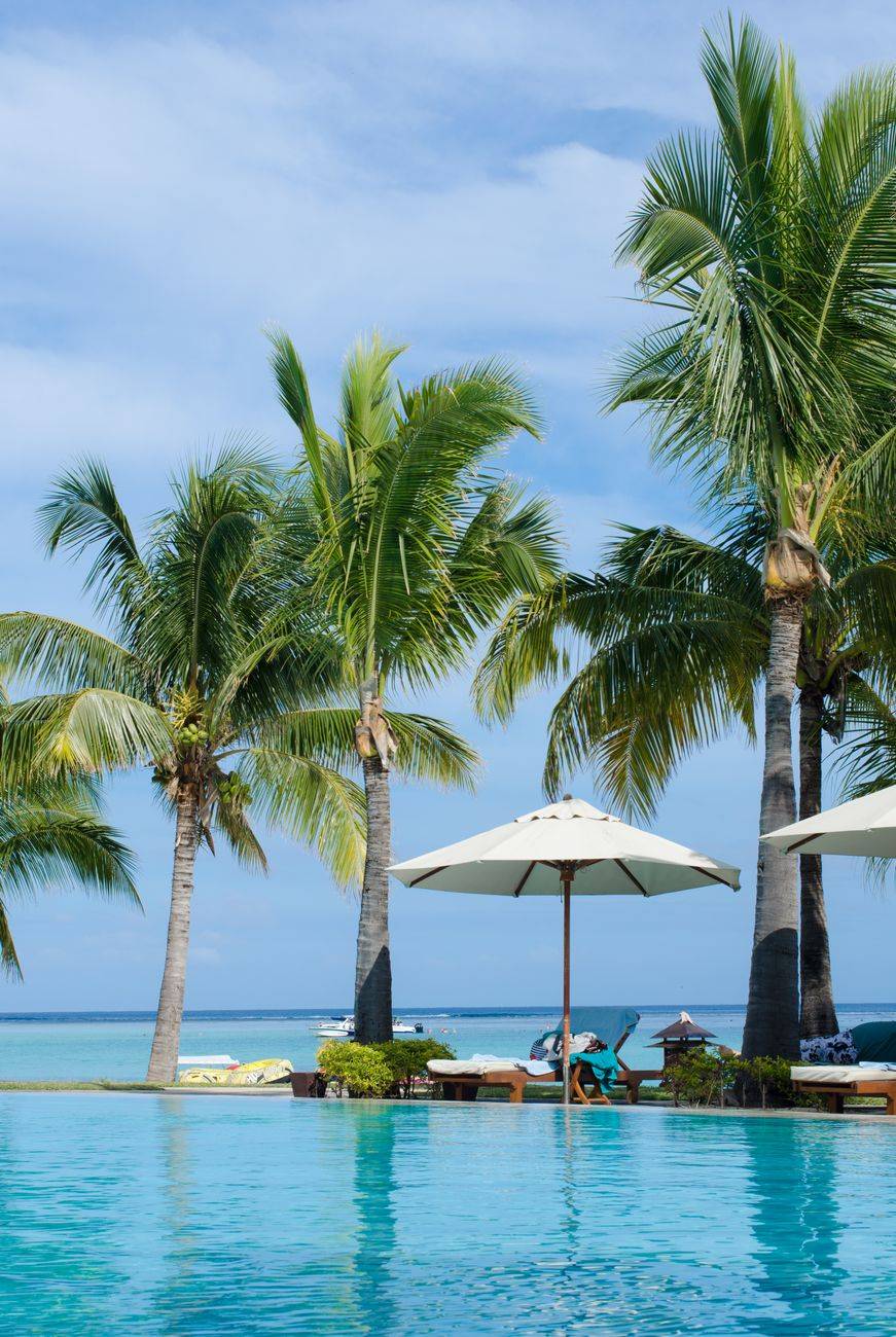 Scenic view of a tropical resort pool with palm trees and sun umbrellas, perfect for relaxation.