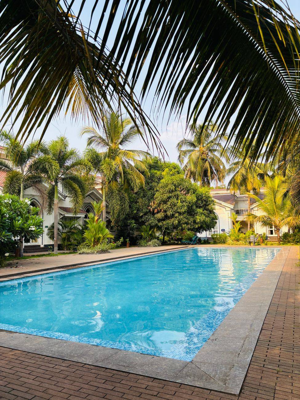 Sunlit tropical pool area with palm trees and villas, offering a serene and luxurious vacation vibe.