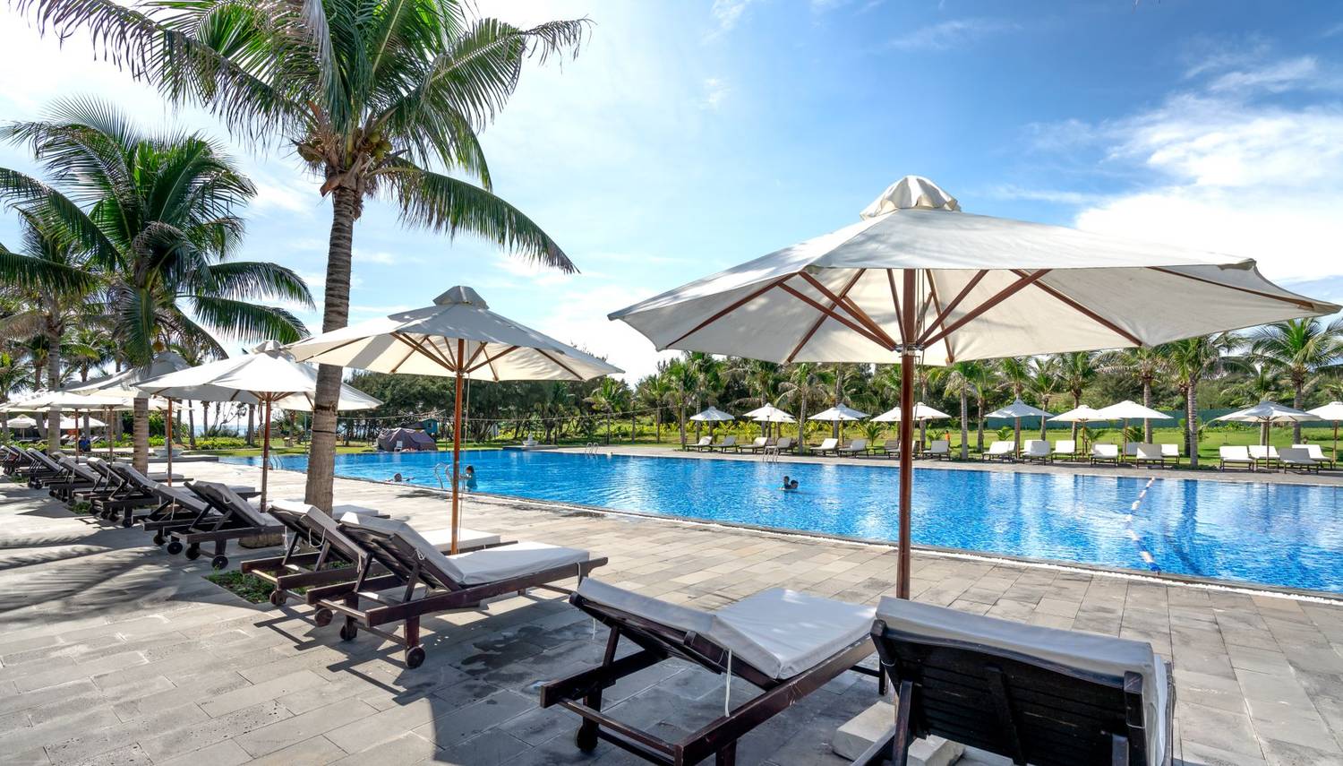Relaxing tropical resort scene with palm trees, sunbeds, and poolside umbrellas.