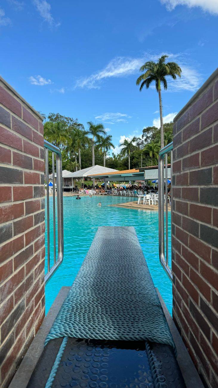 A serene swimming pool scene with diving board and palm trees, perfect for vacation vibes.