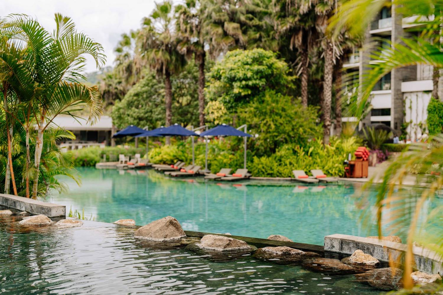Serene outdoor pool with lush greenery in a luxury resort, Arusha, Tanzania.