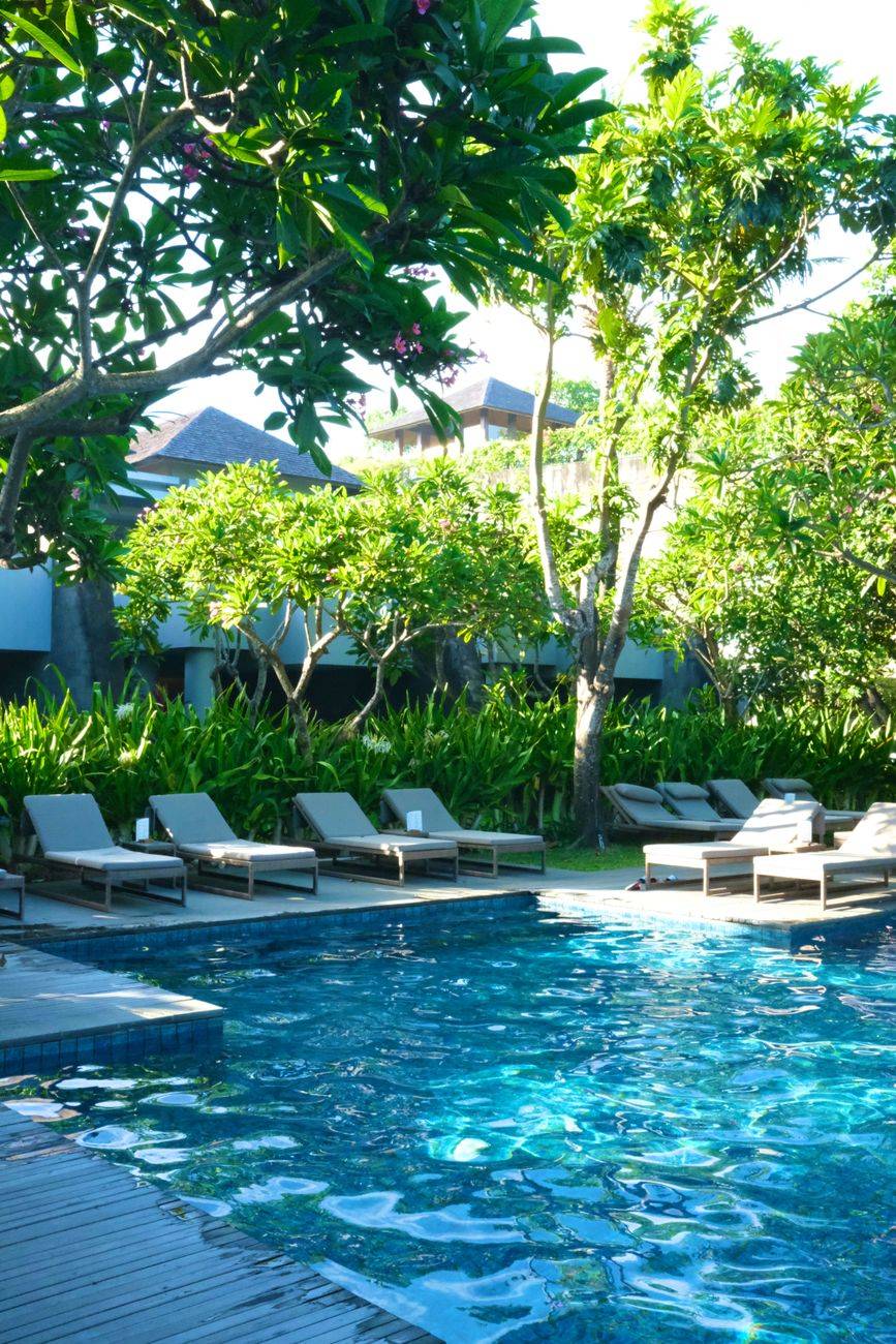 Relax at a serene tropical poolside surrounded by lush greenery and sunbeds.